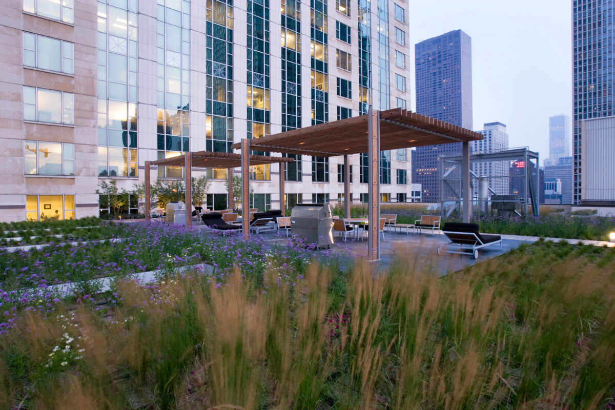 The Residences at 900 Green Roof